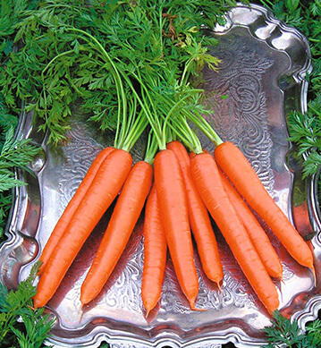  Carrots 