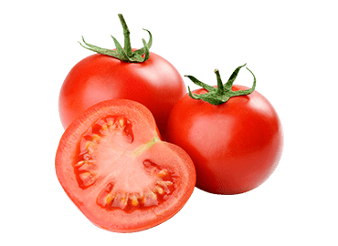  Tomato 