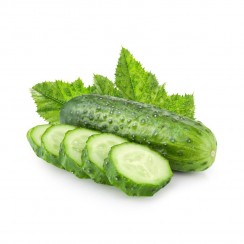 Cucumber Vegetable