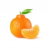 Healthline Orange