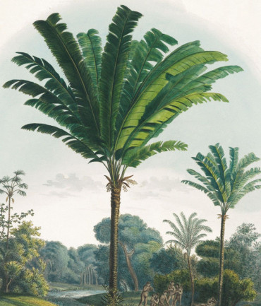 Rêves éthérés