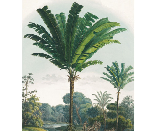 Rêves éthérés