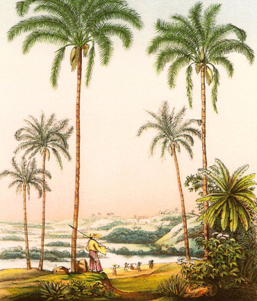 Rêves éthérés