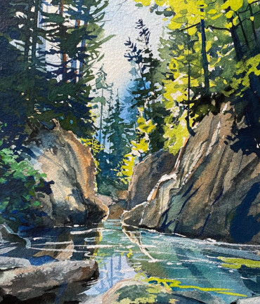 Enchanted Forest