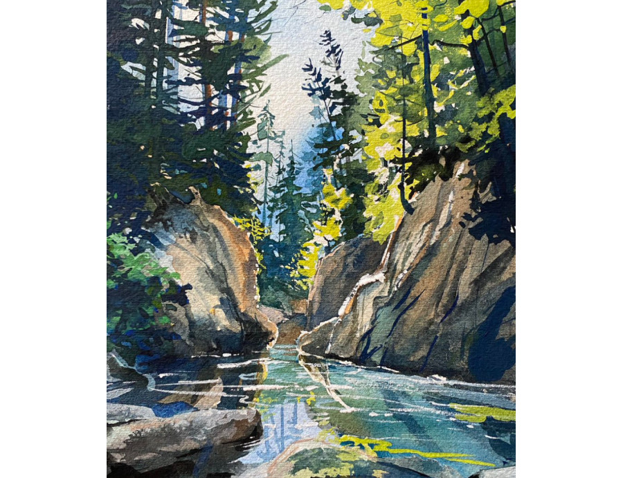 Forêt enchantée