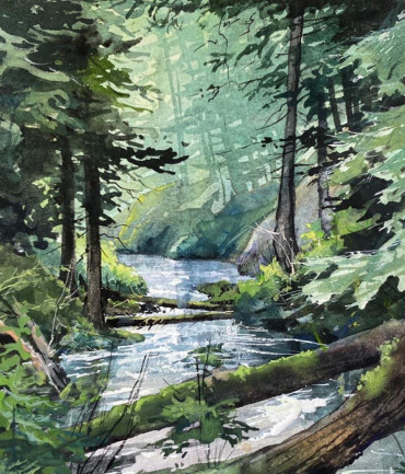 Forêt enchantée