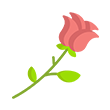 rosas