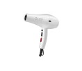 Gamma Hair Dryer