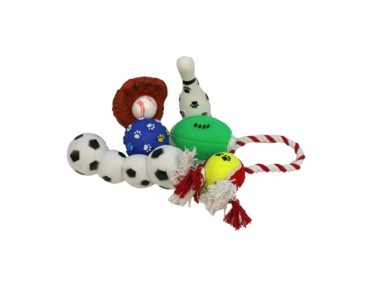 Ensemble de jouets pour animaux de compagnie