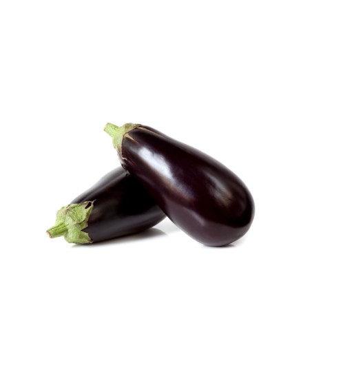 Aubergine