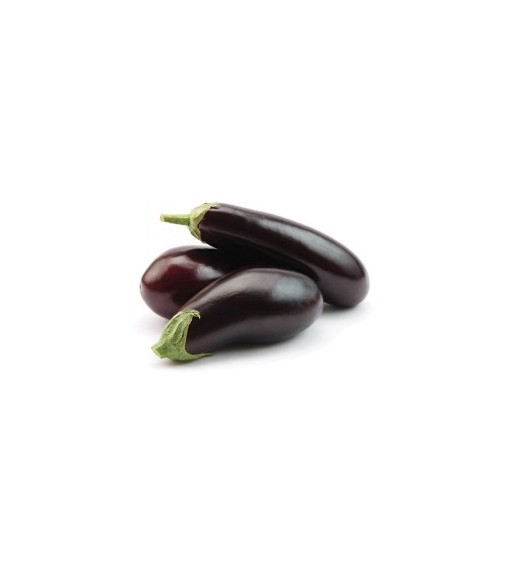 Aubergine