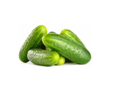 Cucumber