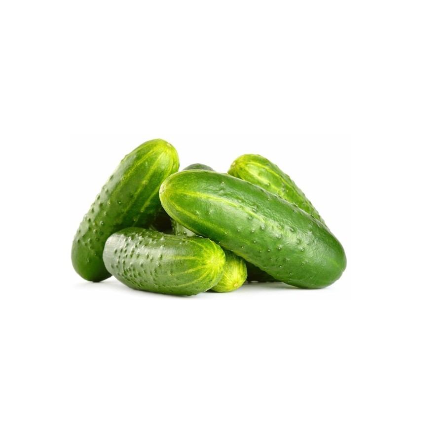 Cucumber