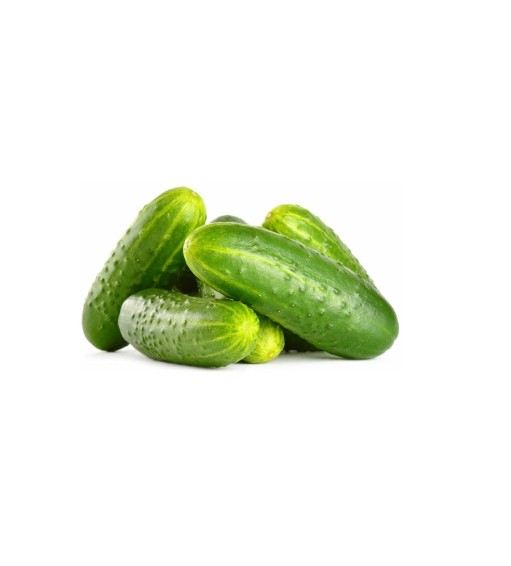 Cucumber