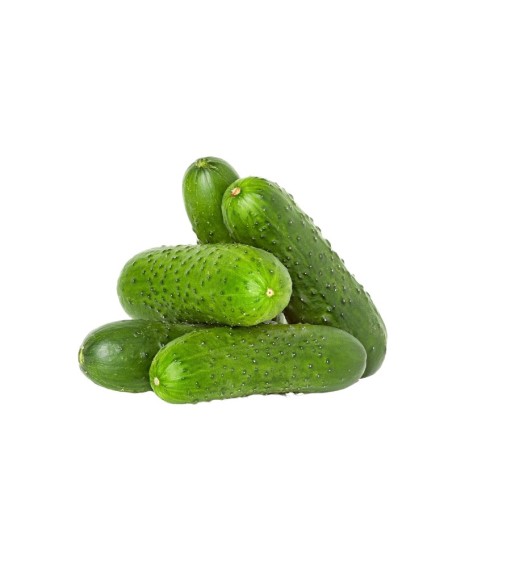 Cucumber