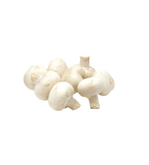 Champignons