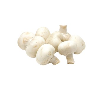 Champignons