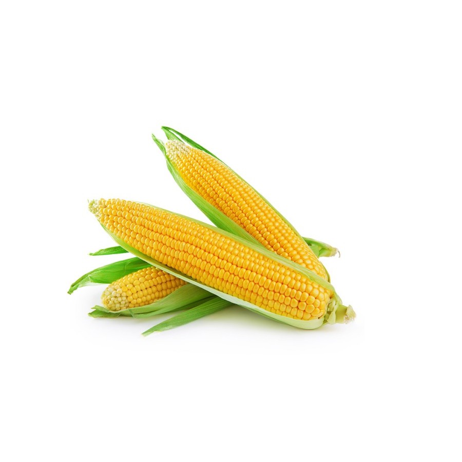 Sweet Corn