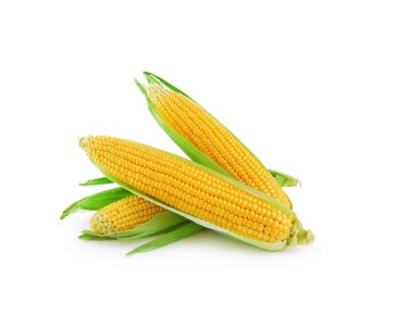 Sweet Corn