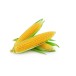 Sweet Corn