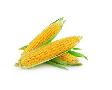 Sweet Corn