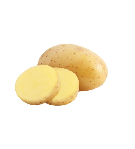 Potato