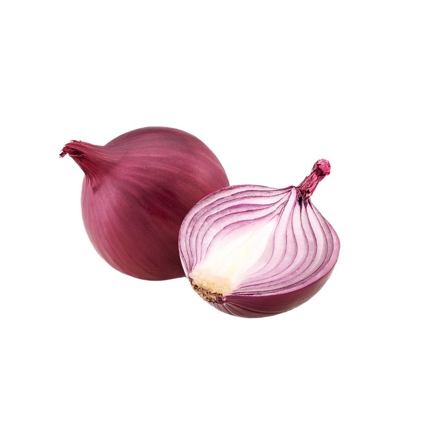 Onion