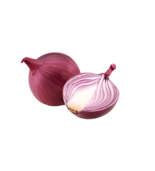 Onion