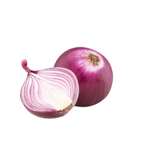 Onion