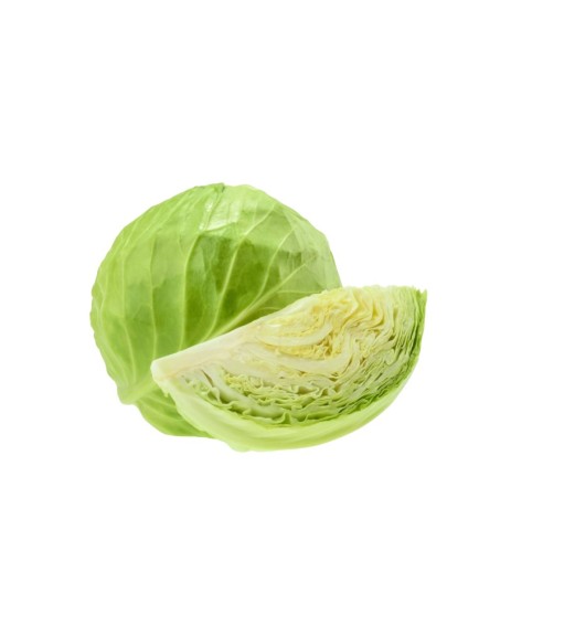 Cabbage