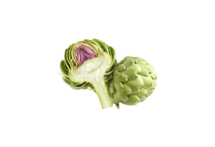 Artichoke